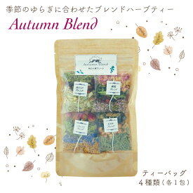 【秋の4種アソート】ブレンド ハーブティ ティーパック オータム 季節限定 ゆらぎ リラックス 美肌 食欲の秋 キンモクセイ スパイス ベリー 運動 読書 美容 贈り物 ギフト お茶 ティータイム ハーブ リフレッシュ むくみ 消化