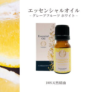 yO[vt[c zCgz 10ml t VgX tbV u₩ bNX A} R VR GbZVIC Vv P ʔ