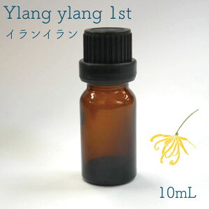 y CC 1st z 10mL m[x 1{ t@[Xg GbZVIC  t[ GL]`bN  Â XC[g Z A}  z fI IG^