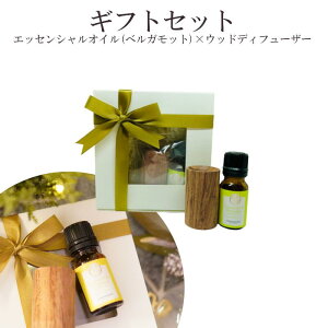 y(xKbg)×EbhfBt[U[Zbgz~ Mtg  GbZVIC  bsOt [YEbh ȒP A} xKvet[