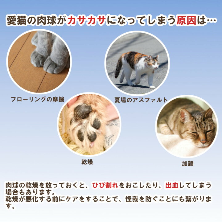 楽天市場 国産 高級 猫用肉球クリーム 速攻プニプニ 愛猫 無農薬 カレンデュラ ミツロウ 肉球 ケア ひび 乾燥 キャット 保湿 潤い 防臭 消臭 無香料 無添加 ml レソンシエル ジャポン レソポン
