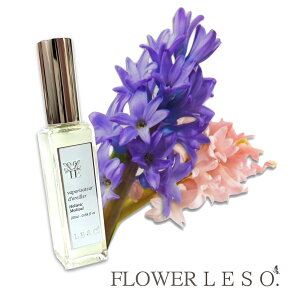 {̉Ԃ̍y qVX zt[\bg@A}A} Xv[ 20ml tOX   Jo[ Y L  Q  xbh  ₷ [ K[f ؉ a 