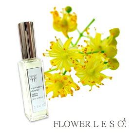 本物の花の香り【 リンデン 】 フラワー レソット アロマ スプレー 20ml 西洋 菩提樹 アブソリュート AEAJ テラピー フローラル フレグランス 蒸留水 香水 巾着 枕 カバー プレゼント
