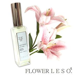 {̉Ԃ̍ y S [ z t \bg A} Xv[ 20ml  Au\[g AEAJ es[ t[ tOX    Jo[ Y L  Q  x