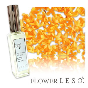 {̉Ԃ̍y ؍ z t[ \bgA} Xv[ 20ml IX}TX LNZC t[ tOX   Jo[ Y L  Q xbh  ₷ [