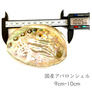 Yy Ao VF z9cm~10cm VR R Lk M X}bWO   ґz  zCg Z[W pTg ~ tLZX p[Xg[ CeA  M D