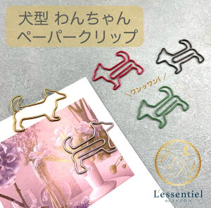 y^ 񂿂 Nbvz50 Ɩp hbO  [  pi fXNACe Mtg   킢 Xe[Vi[ [Nbv