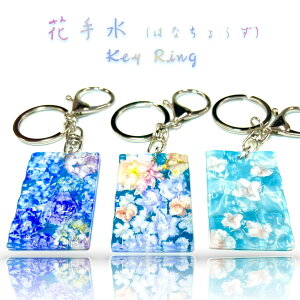 y Ԏ萅 z  L[ z_[   _ Y  d ^  t[ O z  TN tďH~   ] oCN obO `[ g hV  v[g 