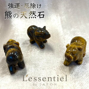 ^y   z1C F N} xA[ VR ^CK[AC  ^  N g p[Xg[ Ƒ  ^C d  肢 CeA IuWF u g GlM[