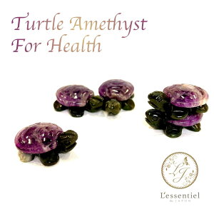 y   z T AWXg N  N K^ VR  ^ J g p[Xg[  Ƒ  ^C d  肢 CeA IuWF u g GlM[