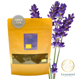 y tXY x_[ pE_[ z50g VR  CObV  ]     n[u A} ґz fgbNX 萯 K seBX ׋ W R[  