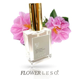 _}XN [Y y VR Ԃ̍y A} ~Xg z t \bg. 50ml KN Au\[g t[ tOX  В  Jo[ Y L  Xv[ Q o leso