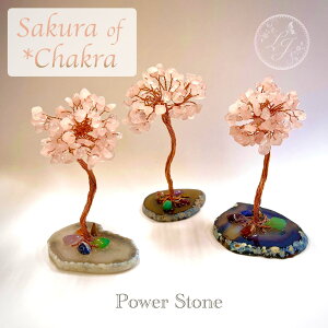 y TNNH[c `N c[ z 1 K^ p[Xg[ VR  [Y K ґz  Ԍ V  IuWF u  g GlM[