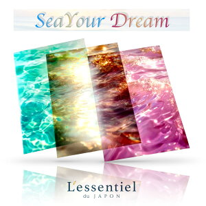 y Č XebJ[z10  V[ t TCY I[V v[ T[tB PETf  R[W m[g 蒠  KX 킢  fR[V