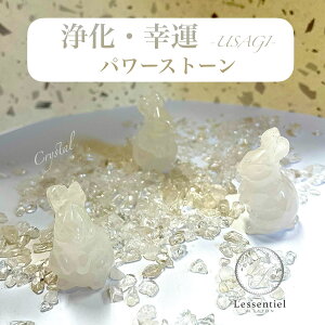 y   z KN NX^  ^C e N g p[Xg[  VR Ƒ  ^C F   肢 CeA IuWF u g GlM[