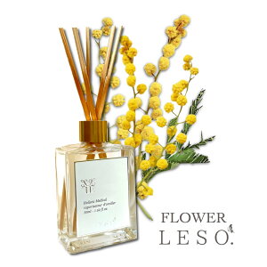 {̉Ԃ̍y ~U z[h fBt[U[ 50ml tOX t[ \bg.  Y L Q  xbh  ₷ [ a   Ε   f[ leso.