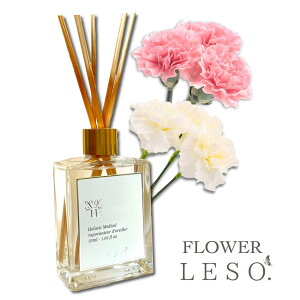 {̉Ԃ̍y J[l[V z[h fBt[U[ 50ml tOX t[ \bg.   Y L Q  xbh  ₷ [ a ̓  Ε v