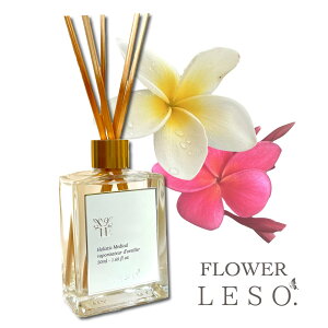 {̉Ԃ̍y vA z[h fBt[U[ 50ml  tOXt[ \bg.  Y L Q  xbh  ₷ [ a     Ε v