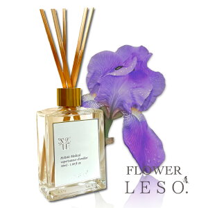 {̉Ԃ̍y ACX z[h fBt[U[ 50ml tOX t[ \bg.   Y L Q  xbh  ₷ [ a    Ε v[g 