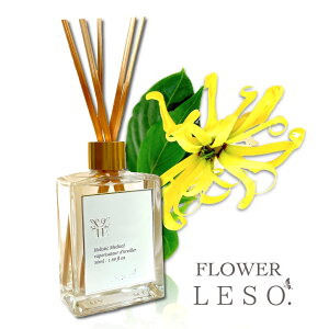 {̉Ԃ̍y CC z[h fBt[U[ 50ml tOX t[ \bg.   Y L Q  xbh  ₷ [ a    Ε v[