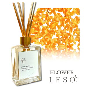 {̉Ԃ̍y ؍ z[h fBt[U[ 50ml tOX t[ \bg. IX}TX LNZC   Y L Q  xbh  ₷ [ a  