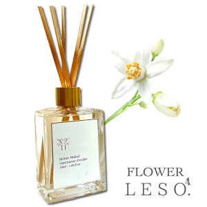 {̉Ԃ̍y l z[h fBt[U[ 50ml tOXt[ \bg.   Y L Q  xbh  ₷ [ a    Ε v[g f[