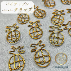 y pCibv y[p[ Nbv z 12 S[h  t[c  ʕ  pi `bN  bsO Mtg v[g [ fXN ACe 蒠   ׋ [ bZ[