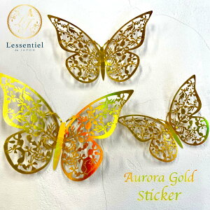 y tH`E  EH[XebJ[ zS[h I[ F 12s[X (3TCY e4) o^tC X _I K^ ǎ ʃe[vt V[ fR[V  p[e