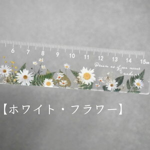 y V[X[ t[ K z 15cm [[  o Ђ܂     wZ ItBX [  fXN  pi Xe[Vi[