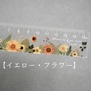 y V[X[ t[ K z 15cm [[  o Ђ܂     wZ ItBX [  fXN  pi Xe[Vi[