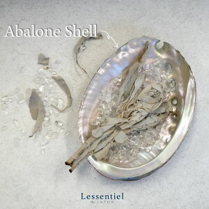 y AoVF z VR R Lk M X}bWO   ґz zCg Z[W pTg ~ p[Xg[ CeA  M DM