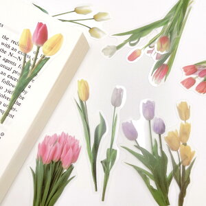 y `[bv NA XebJ[z40  V[ fR[V PETf  t   hCt[ t[ R[W k 킢 