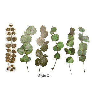 y [tNAXebJ[z6  V[ fR[V {^jJ PETf  XebJ[ A t O[ R[W k 킢 