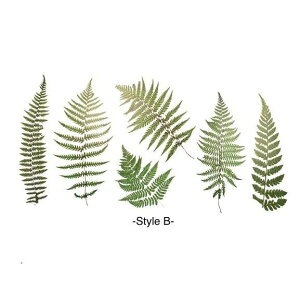 y [tNAXebJ[z6  V[ fR[V {^jJ PETf  XebJ[ A t O[ R[W k 킢 