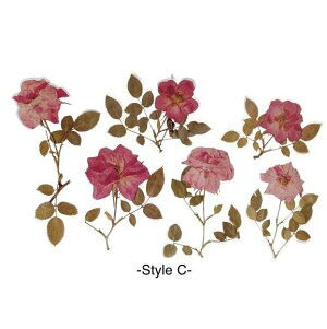 y t[NAXebJ[z6  V[ fR[V {^jJ PETf  XebJ[ A  O[ R[W k 킢 