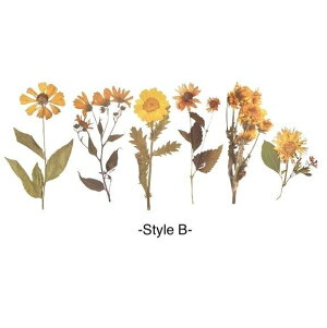 y t[NAXebJ[z6  V[ fR[V {^jJ PETf  XebJ[ A  O[ R[W k 킢 