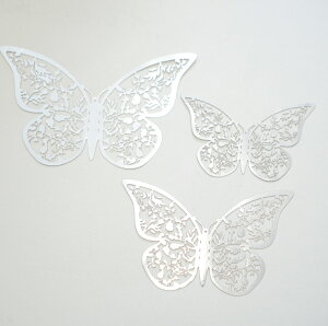 yo^tC̃EH[XebJ[z12s[X  3D ǎ ʃe[v V[ X  fR[V I[  EFJ{[h