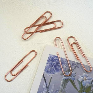 y IsbN _J[ Nbv 50mm z20 Iׂ3J[ S[h Vo[ uY sNS[h 傫 [Nbv ^bN [ pi ubN}[N  h