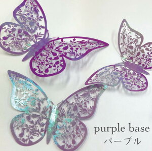 y tH`E  EH[XebJ[ zI[ 2F 12s[X (3TCY e4) o^tC X _I K^ ǎ ʃe[vt V[ fR[V u[ p[v O[