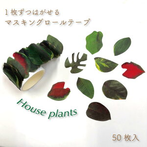 1͂y}XLO[e[vz50 ϗtA A\[g VSjE I[KX^ Xe O[ bh CeAO[  [ fR[V }Xe A