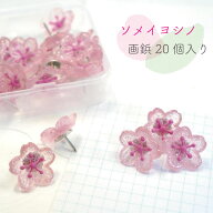 【 ソメイヨシノ 画鋲 ピン 】 20個入り 染井吉野 桜 サクラ さくら sakura 可愛い 春 季節 四季 壁 ペー…
