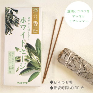 y  zCgZ[W z 174{ 70g   CZX  | tbV Zbg K ґz d ׋   A} n[u {  ~ tOX  bN