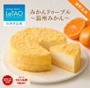 ルタオ LeTAO バレンタイン 2026 みかん 蜜柑 チーズケーキ ケーキ スイーツ 誕生日ケーキ 洋菓子 レアチーズケーキ …