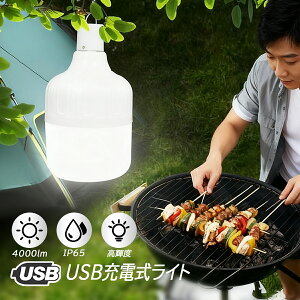 LETOUR LED ランタン充電式 ledランタン 高輝度 キャンプライト 吊り下げライト LED 電球型 ライト Type-C充電 8800mAh 五つモード 調節可能 アウトドア 釣り 作業 バーベキュー キャンプ 車中泊 携帯