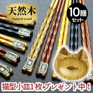 _˂M1v[g^y  [֌z˂ ؔ 10V Zbg  j ₷ 22.5cm TCY |   ͂  v[g Mtg q V ΂ g