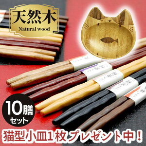 _˂M1v[g^y  [֌zЂ˂ ؔ 10V Zbg  j ₷ 22.5cm TCY |   ͂  v[g Mtg 1000~|bL q V