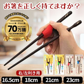 ＼販売元70万膳突破の実績／【メール便限定 送料無料】ちゃんと箸 きちんと箸 日本製 若狭塗 国産 箸 お箸 食器 矯正箸 しつけ箸 躾箸 箸使い トレーニング 練習 お箸の持ち方 大人用 子供用 右利き 左利き 23cm 21cm 18cm 16.5cm 小学生 子供 幼児 大人 プレゼント イシダ