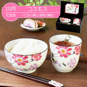  v[g Mtg Z & Ԃ̂(S12) јqۂZbg 2_ | ђq ۂ ዷ j H O LO җj e Vzj a aH 