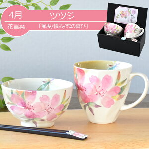  v[g Mtg Z & Ԃ̂ јq}OZbgiS12ށj | q   }OJbv j e c c җj ђq ͂񒃘q Vzj a