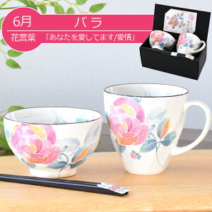  v[g Mtg Z & Ԃ̂ јq}OZbgiS12ށj | q   }OJbv j e c c җj ђq ͂񒃘q Vzj a